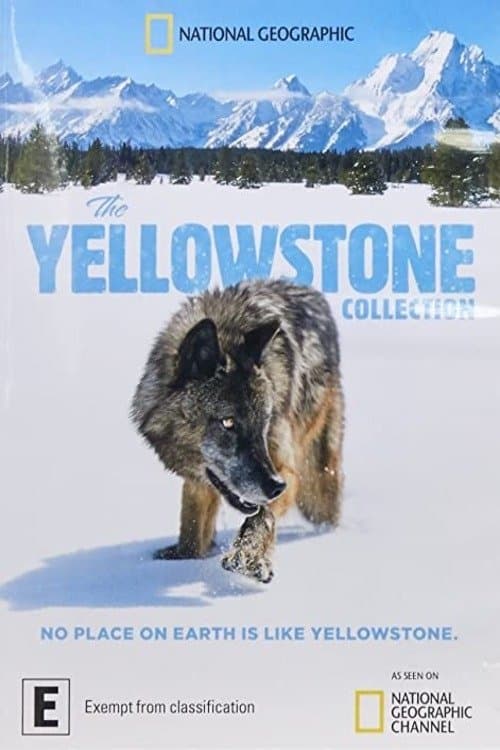 The Yellowstone Collection Season 1 poster