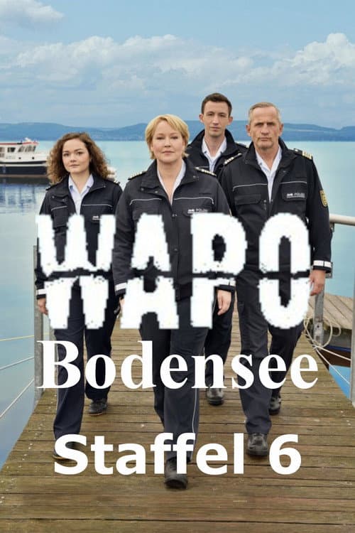 WaPo Bodensee Season 6 poster
