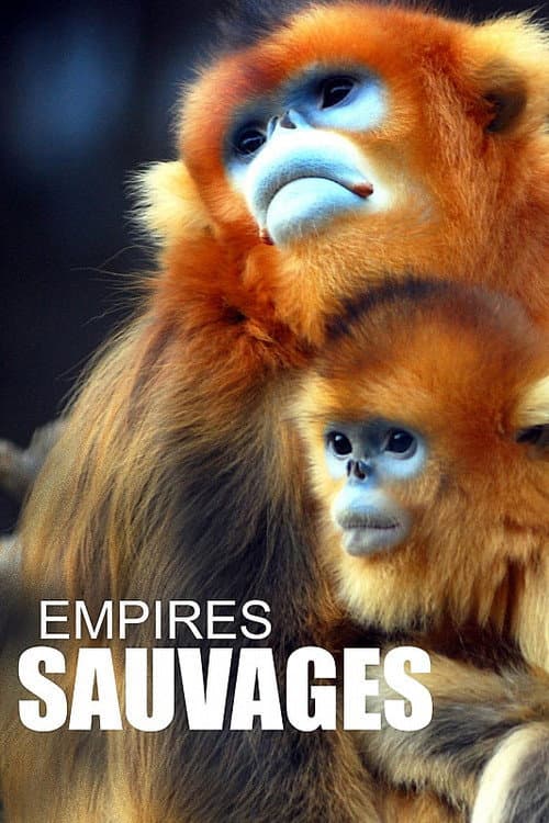 China's Wild Empire Season 1 poster