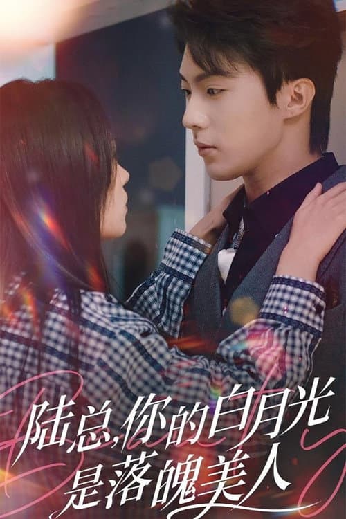 陆总, 你的白月光是落魄美人 Season 1 poster