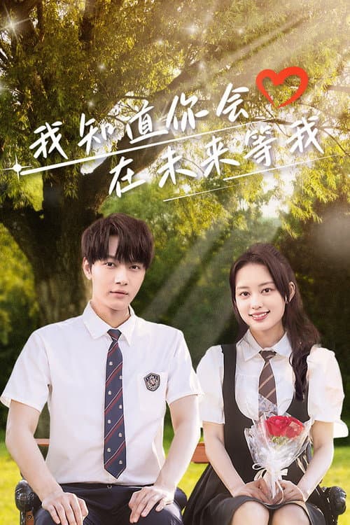 Love Through Time Season 1 poster
