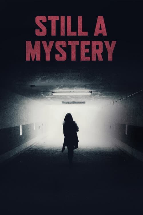 Still a Mystery Season 1 poster