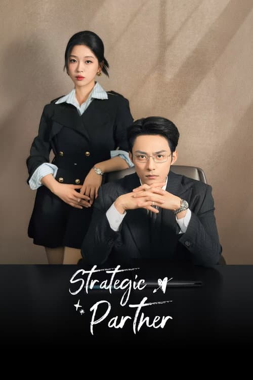 Strategic Partner Season 1 poster