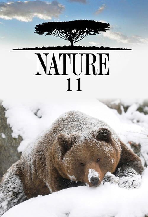 Nature Season 11 poster