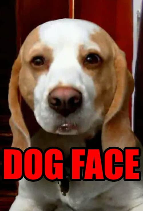 Dogface Season 1 poster