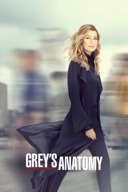 Grey's Anatomy Season 16 poster