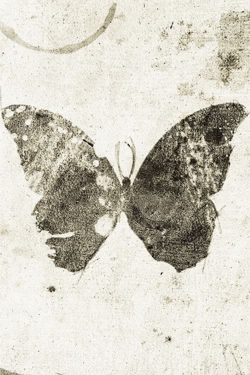 Ulysse Season 2 poster