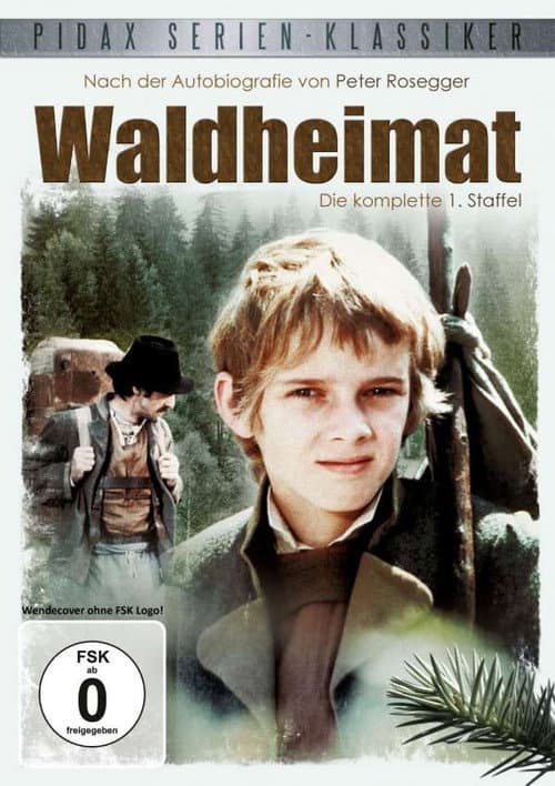 Waldheimat Season 1 poster