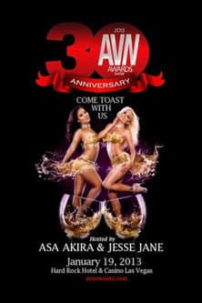 AVN Awards 30th AVN Awards poster