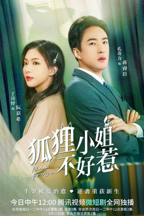 Miss Fox Season 1 poster