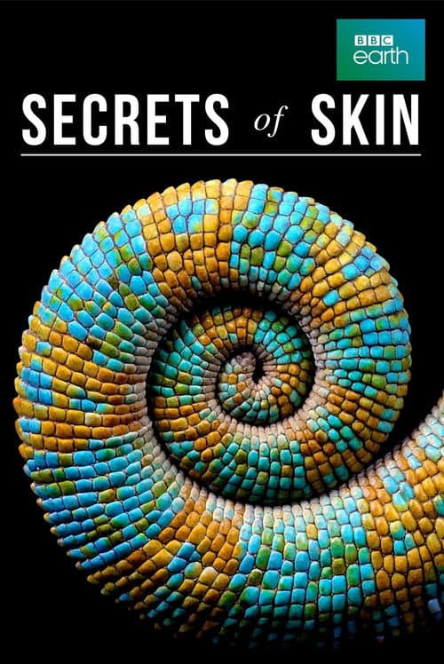 Secrets of Skin Season 1 poster