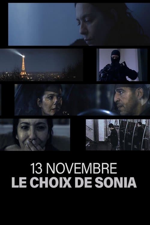 13 novembre, le choix de Sonia Season 1 poster