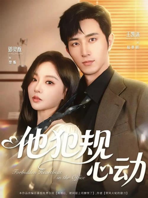 他犯规心动 Season 1 poster