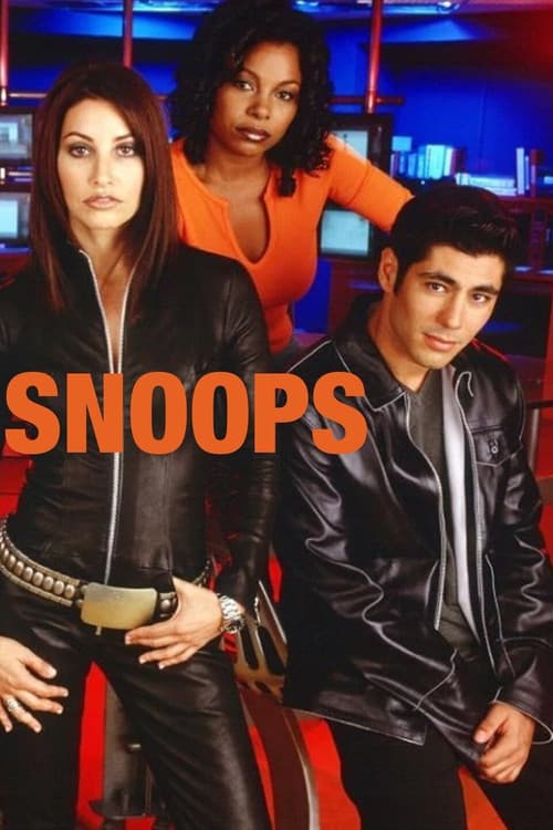 Snoops Season 1 poster
