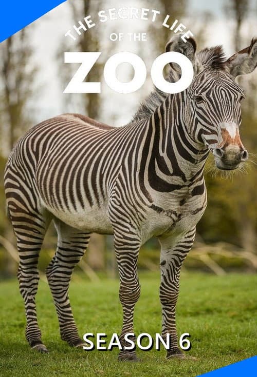 The Secret Life of the Zoo Season 6 poster