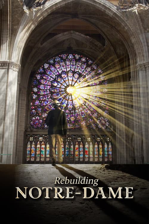 Rebuilding Notre-Dame Season 1 poster