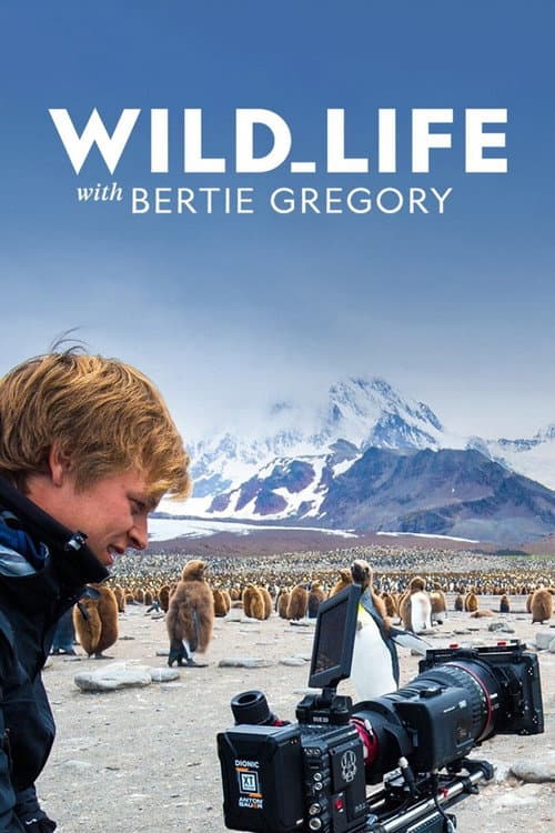 Wild Life with Bertie Gregory Season 1 poster
