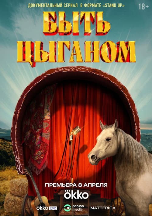 Being a Gypsy Season 1 poster
