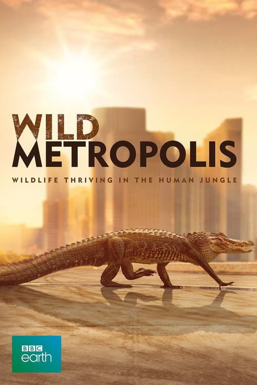 Cities: Nature's New Wild Season 1 poster