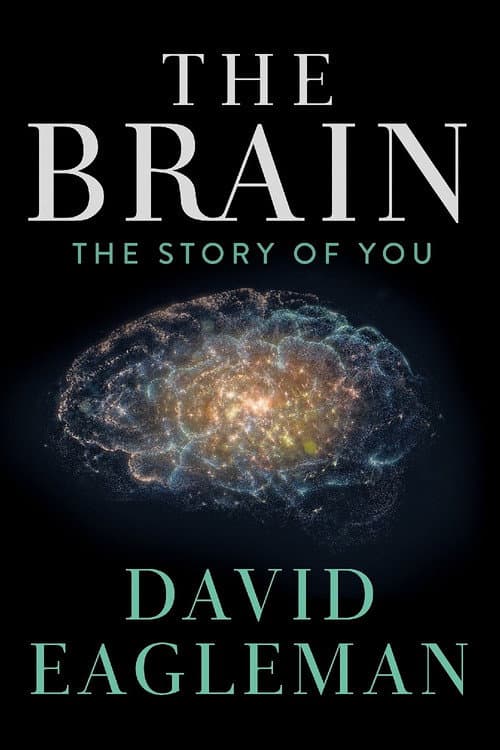 The Brain with David Eagleman Season 1 poster