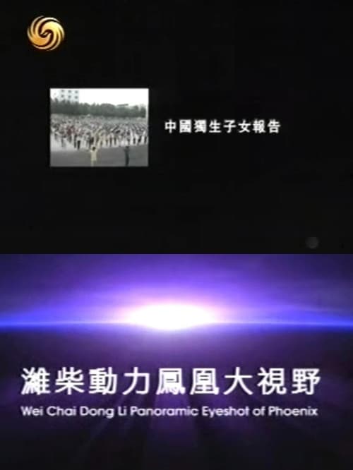 凤凰大视野：中国独生子女报告 Season 1 poster