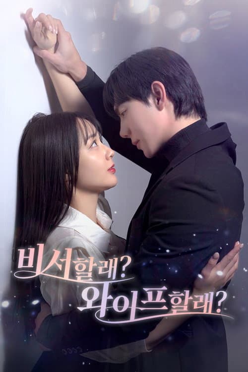 The Secretary Is My Secret Wife Season 1 poster