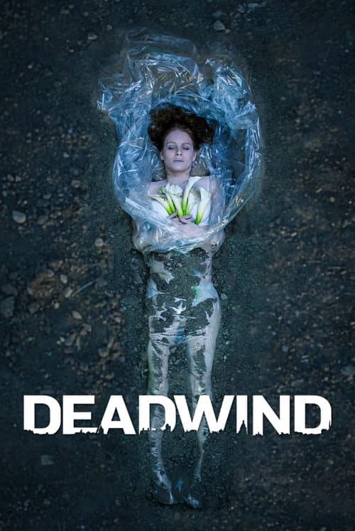 Deadwind Season 3 poster