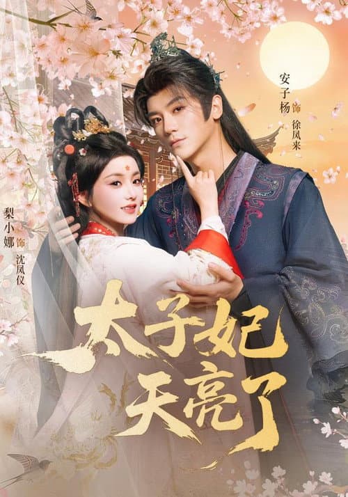 太子妃天亮了 Season 1 poster