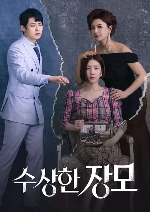 Shady Mom-in-Law Season 1 poster