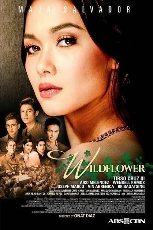 Wildflower Season 1 poster