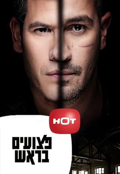 Scarred Season 1 poster