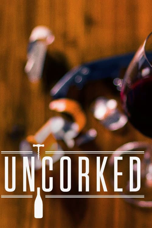 Uncorked Season 1 poster