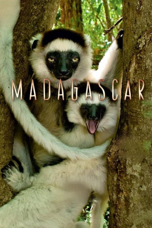 Madagascar Season 1 poster