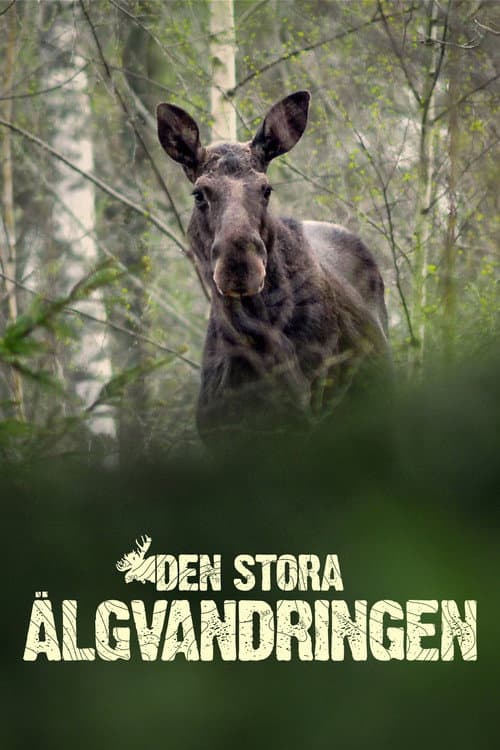 Den stora älgvandringen Miniseries poster