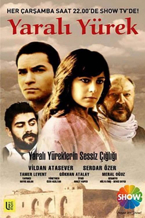Yaralı Yürek Season 1 poster