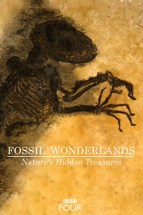 Fossil Wonderlands: Nature's Hidden Treasures Season 1 poster