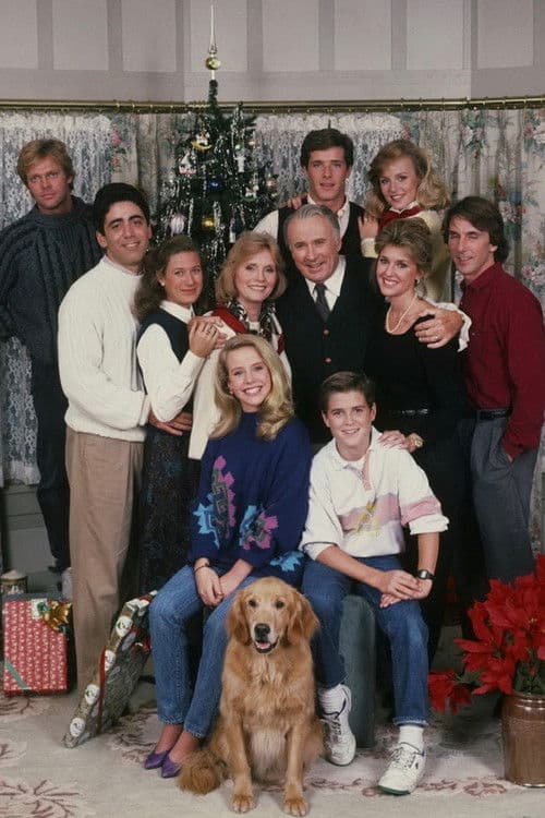 A Year in the Life Season 1 poster