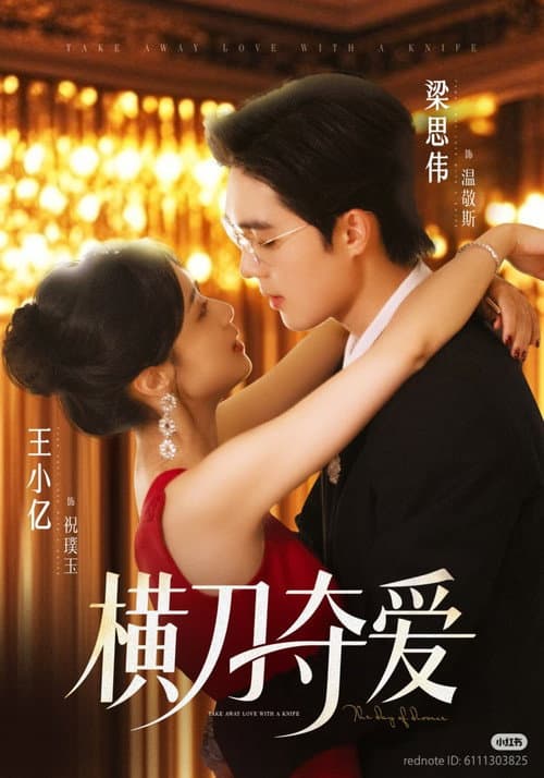 横刀夺爱 Season 1 poster
