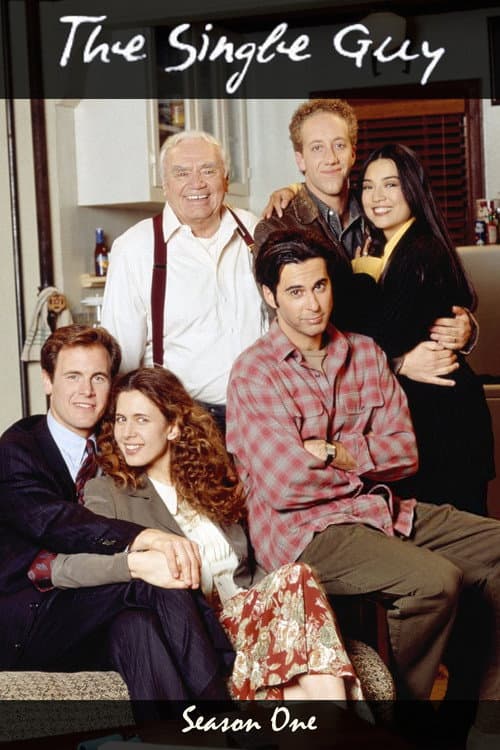 The Single Guy Season 1 poster