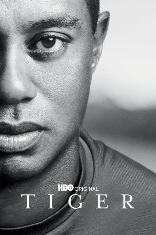 Tiger Miniseries poster