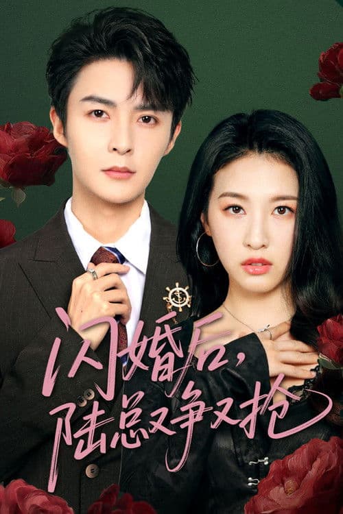 闪婚后陆总又争又抢 Season 1 poster