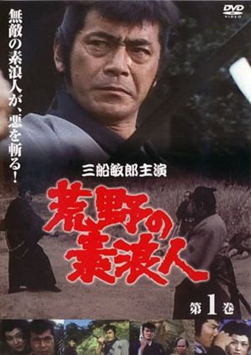 Ronin of the Wastelands Season 1 poster