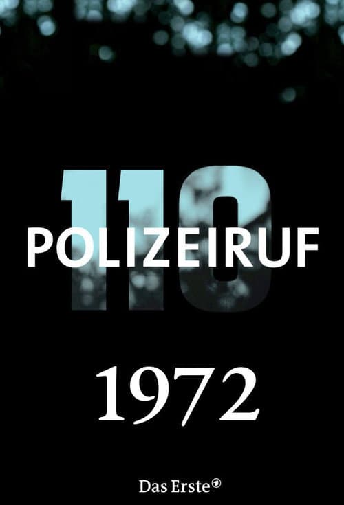 Polizeiruf 110 Season 2 poster
