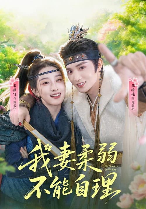 我妻柔弱不能自理 Season 1 poster
