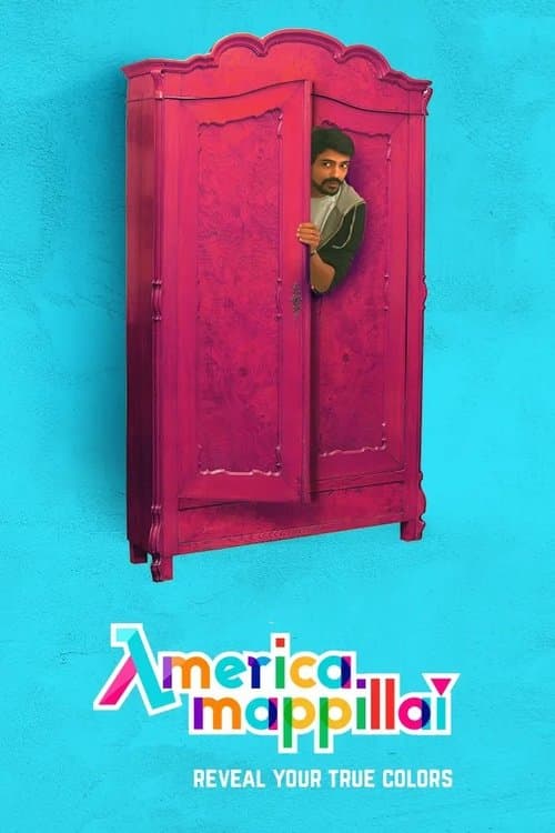 America Mappillai Season 1 poster