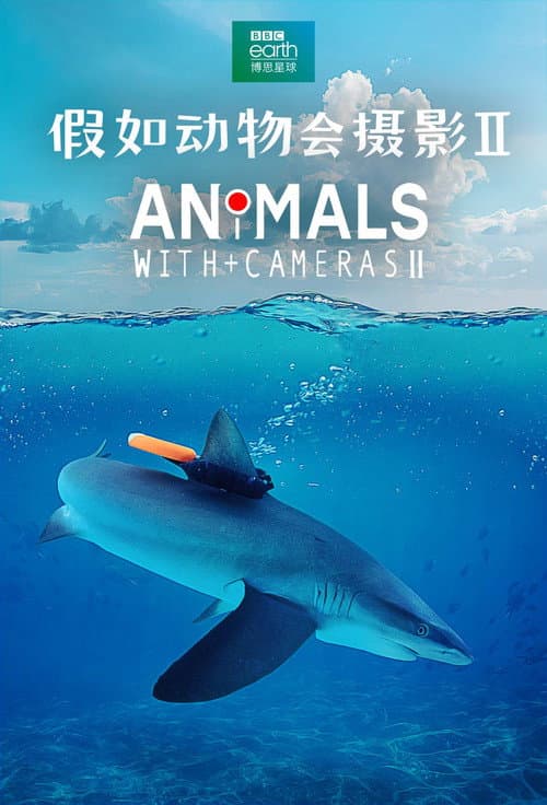 Animals with Cameras Season 2 poster