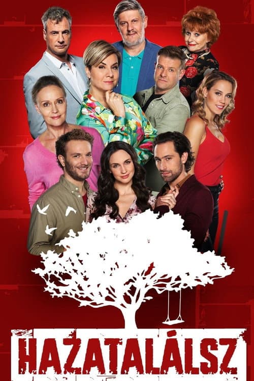 Hazatalálsz Season 2 poster