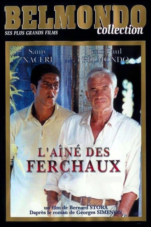 L'Aîné des Ferchaux Season 1 poster