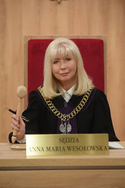 Sędzia Anna Maria Wesołowska Season 4 poster