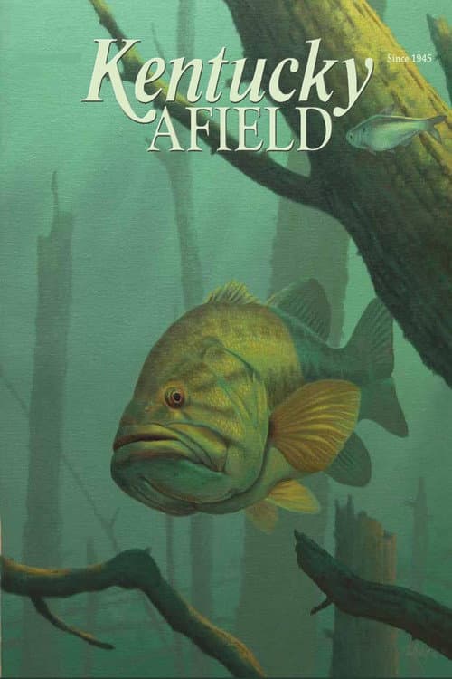 Kentucky Afield Season 39 poster